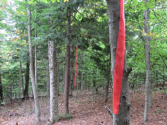 4th image of L16 Barker Road