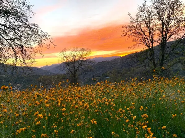 Sierra King Drive, Three Rivers, CA 93271