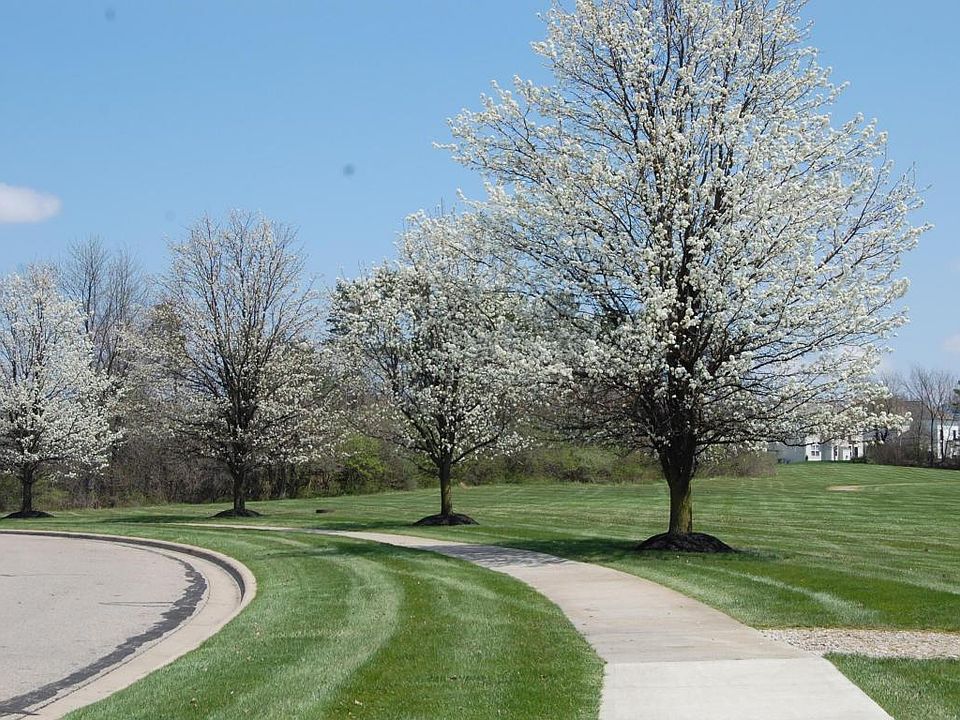 2nd image of 5599 Dorshire Dr