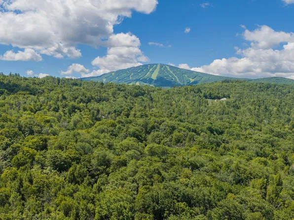 56 Lower Taylor Hill Road, Winhall, VT 05340