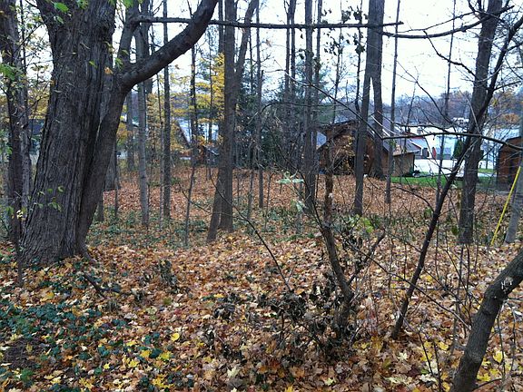 5th image of 14930 Birch Lake Shore Dr