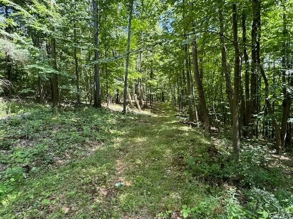 0 Monastery Rd, Big Flats, NY 14814