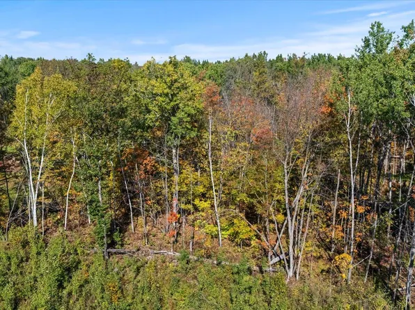 29606 E Bass Lake Rd, Grand Rapids, MN 55744