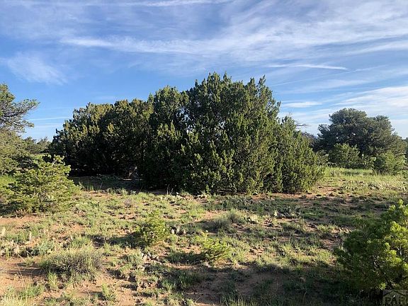 4th image of LOT 1 Coyote Pl