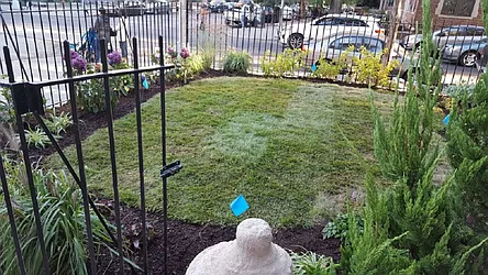 Rented by Citi Habitats