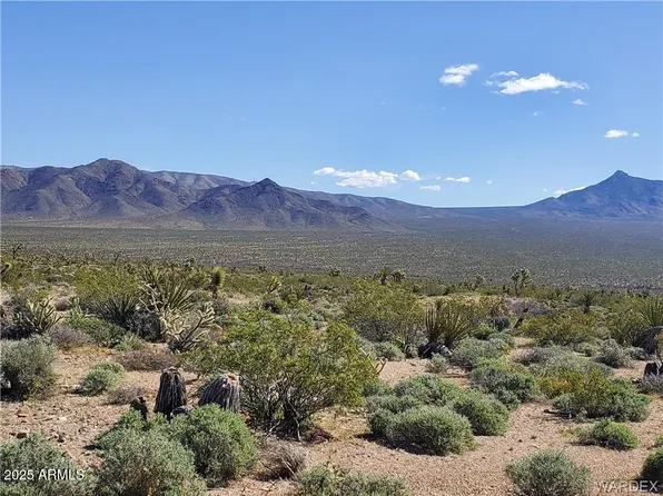 Lot 3076 W Gold Basin Drive #3076, Meadview, AZ 86444