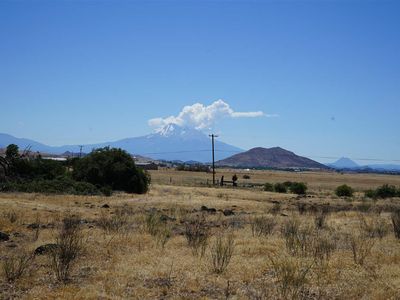 Nsa Pheasant, Montague, CA, 96064