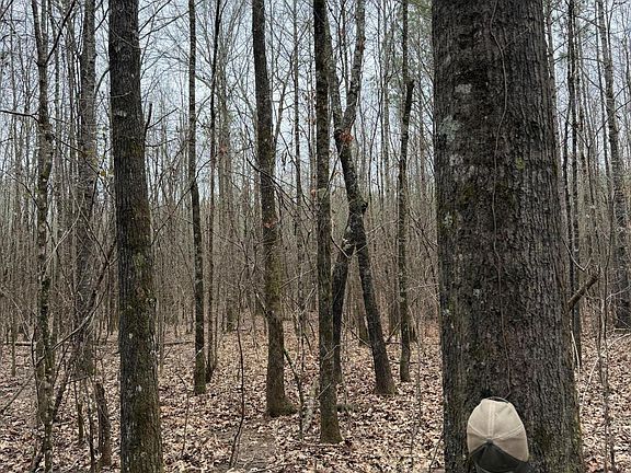 5th image of Bodka Valley Rd