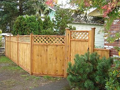 new fence and gate 