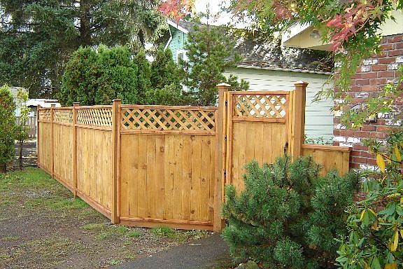 new fence and gate 