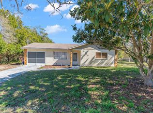 5128 Odin St, Spring Hill, FL 34608