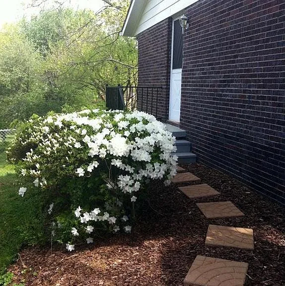 1340 Mimosa Dr — Photo 22