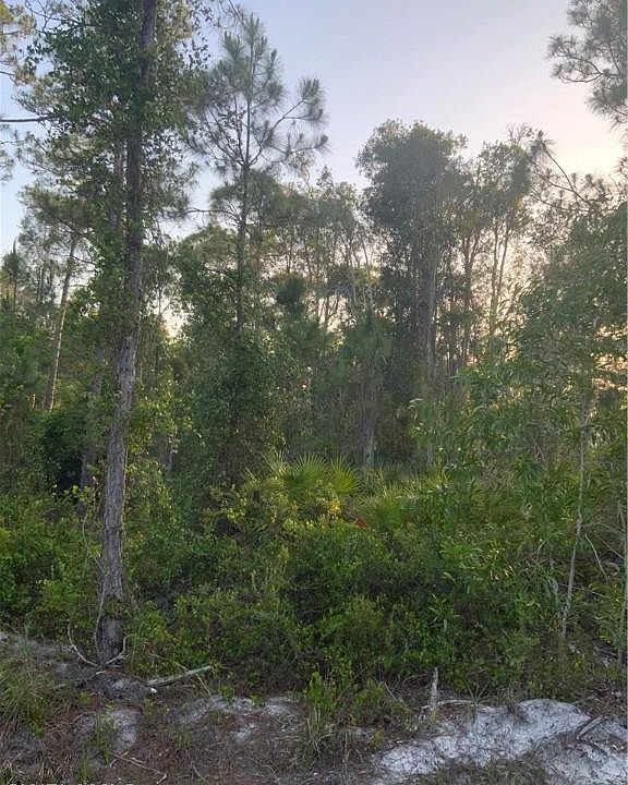 1st image of 15241 Bimini Way