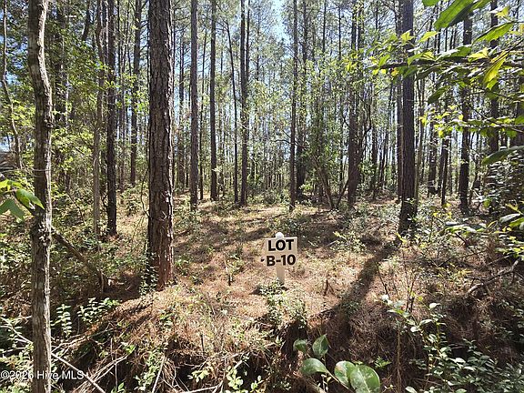 2nd image of LOT-10B Renee Dr