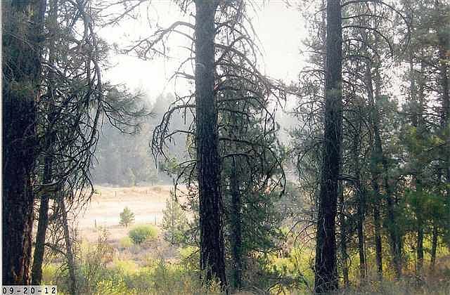 1st image of 21 Meadow Creek Dr