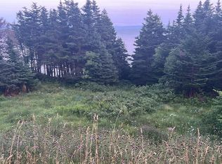 485 Oceanview Drive, Cape St. George, NL A0N1T1