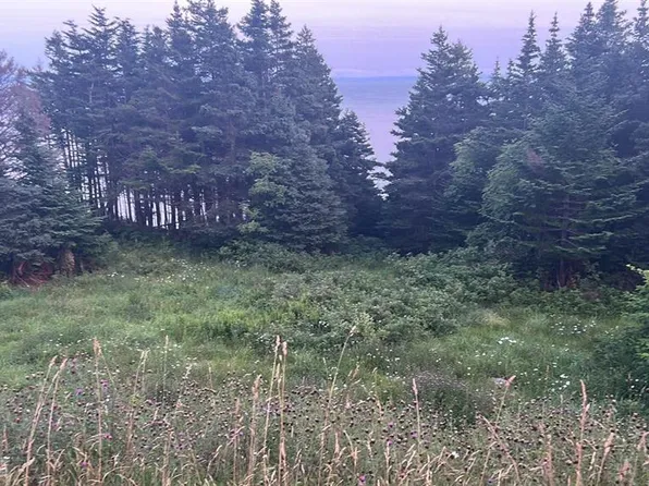 485 Oceanview Drive, Cape St. George, NL A0N1T1