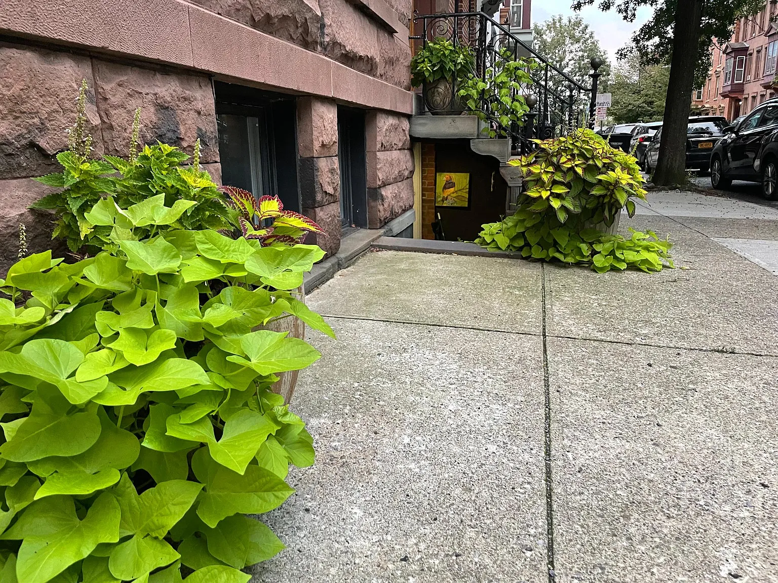 1 bed, 950 sqft, $1,300 — Photo 1