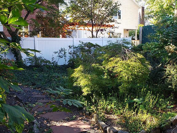 Serene and relaxing backyard