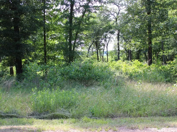 116 Lakeview Dr, Mabank, TX 75156