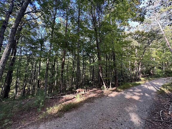 3rd image of 73-76 Peach Ln