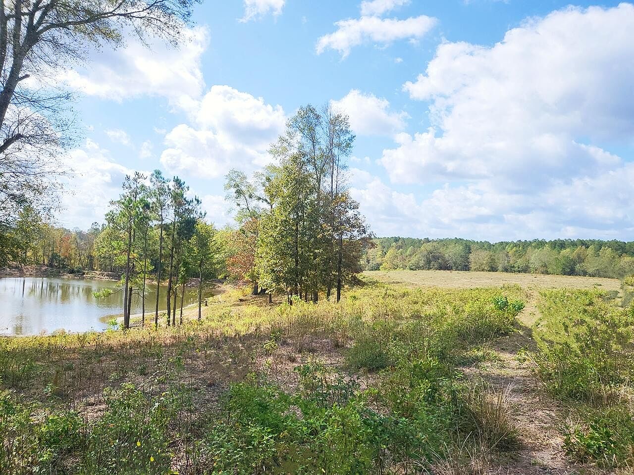 0 Carter Dee Rd, Taylorsville, MS 39168 Zillow