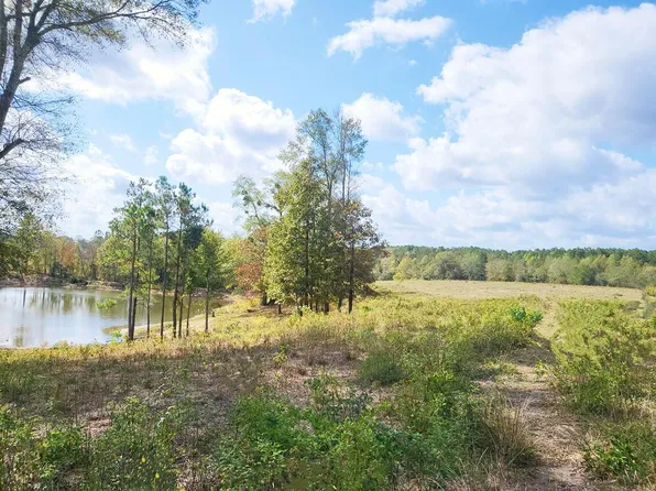 0 Carter Dee Rd, Taylorsville, MS 39168