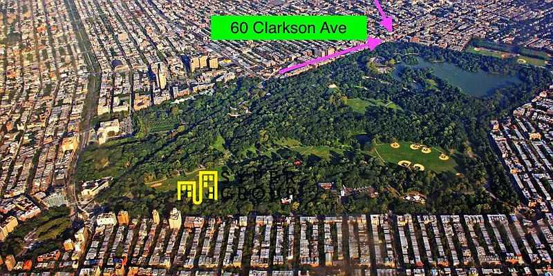 Rented by Evergreen Apartments BK | media 17