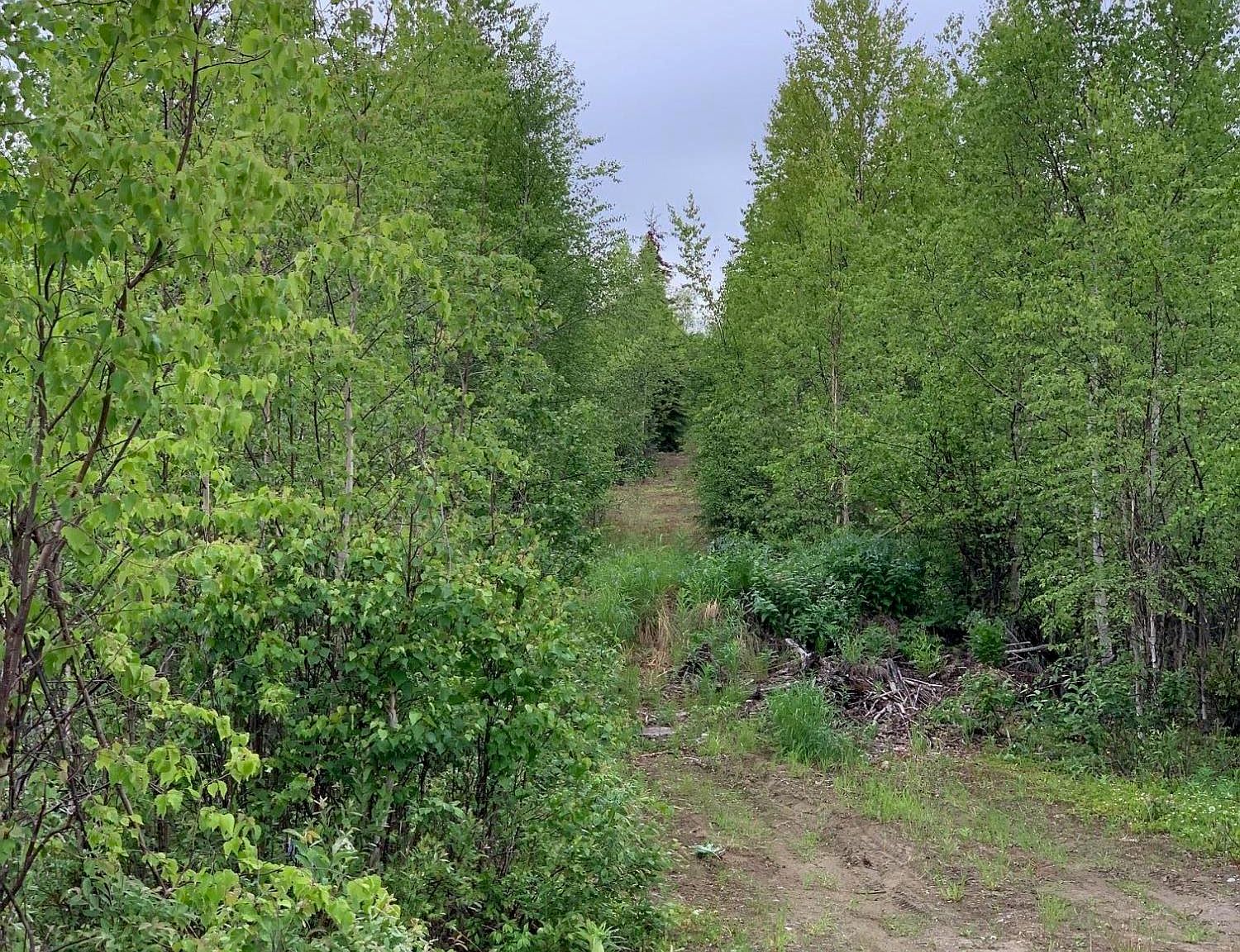 15133 W Lakes Blvd Big Lake AK 99652 Zillow