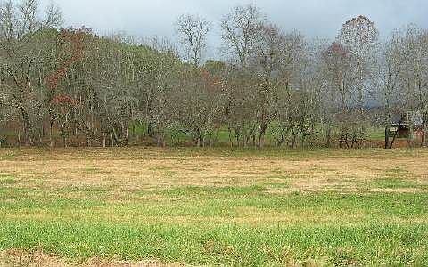 2nd image of LOT 3 McGlamery Farms