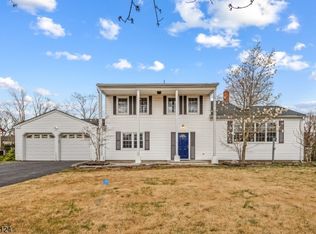 8 Snoozin Tree Ln, Parsippany, NJ 07054