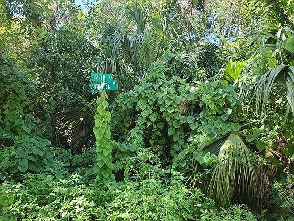 4th image of 31 Hernandez Ave