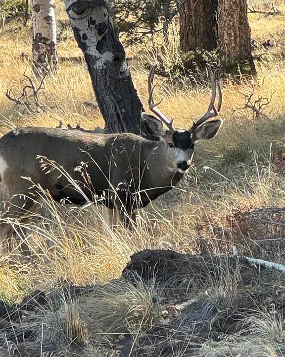 1st image of 3886 & 3812 County Road 25