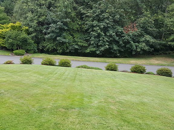 front lawn