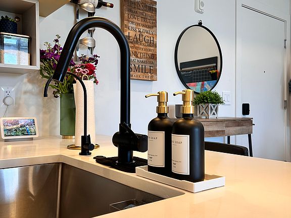 Modern style black matte faucets with in-line drinking water filter.