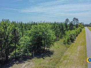 0 Moores Chapel Rd, Mauk, GA 31058