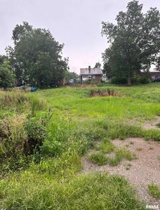 0 W Pine St, Alto Pass, IL, 62905