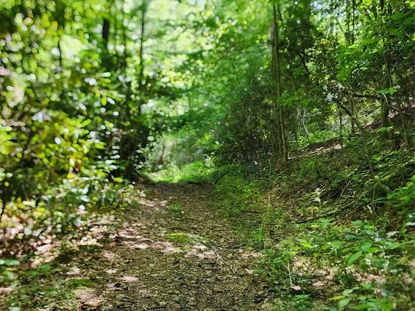 TRACT A3 Sharp Top Rd, Burnsville, NC 28714