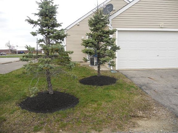 3rd image of 2243 Dunvegan St