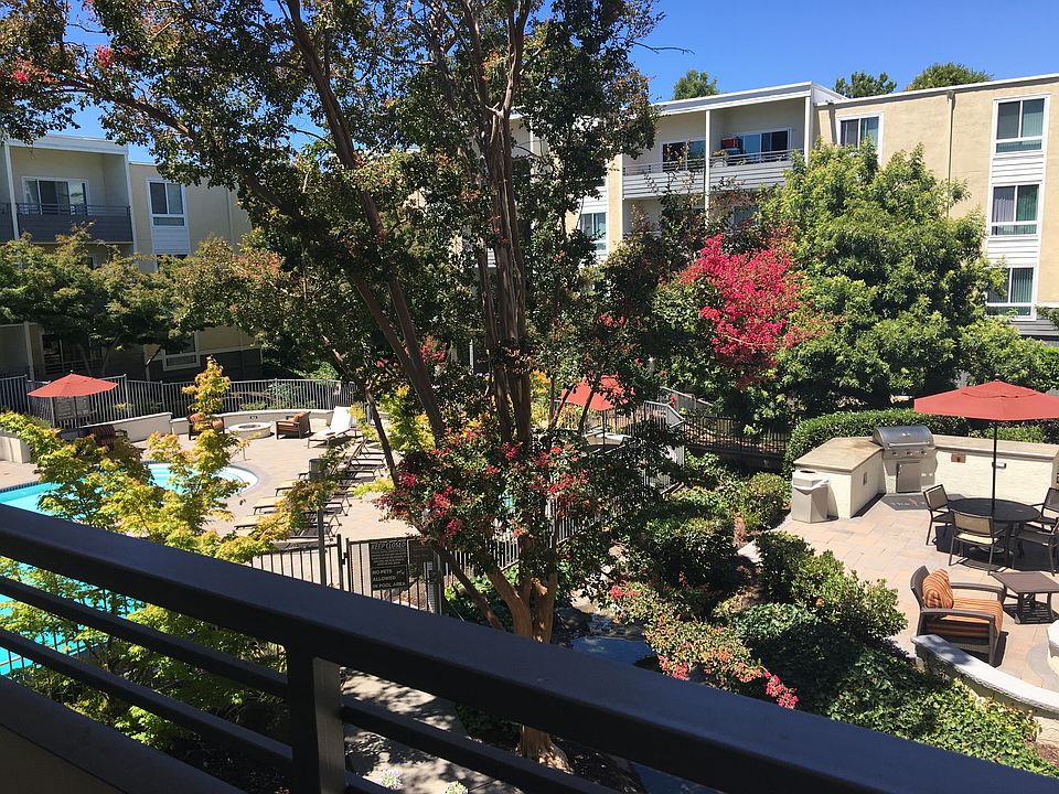 1st image of 1449 Creekside Dr APT 2046