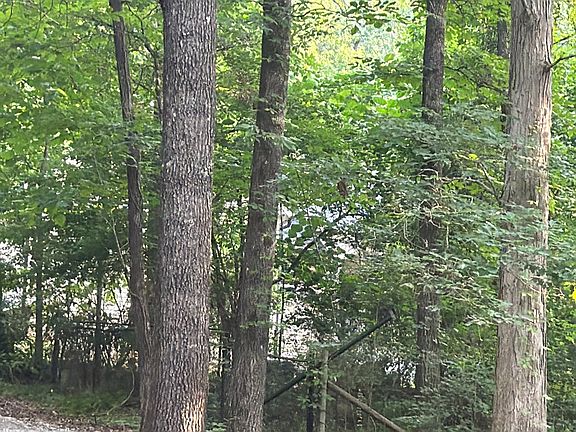 2nd image of 1331 Pickett Bridge Rd
