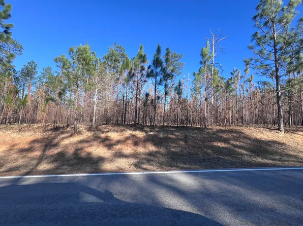 0 Tatum Camp Rd, Purvis, MS 39475