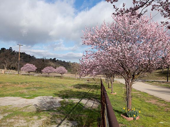 3rd image of 29201 Angus Ct