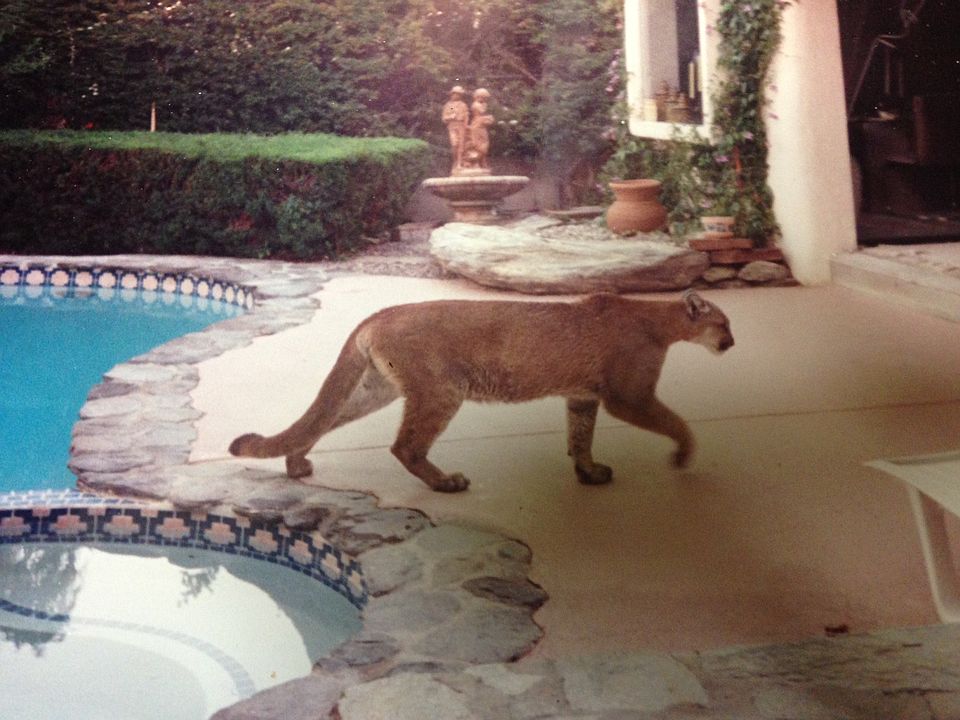 2nd image of 67660 Quijo Rd