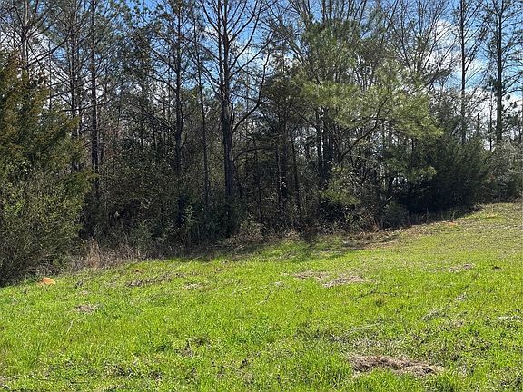 3rd image of 35729 Hesters Store Rd