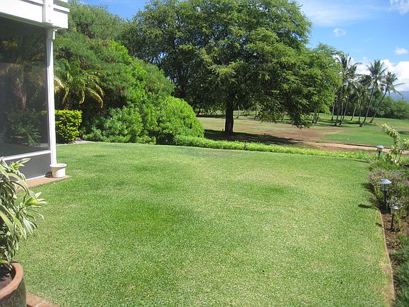Landscaped Back Yard