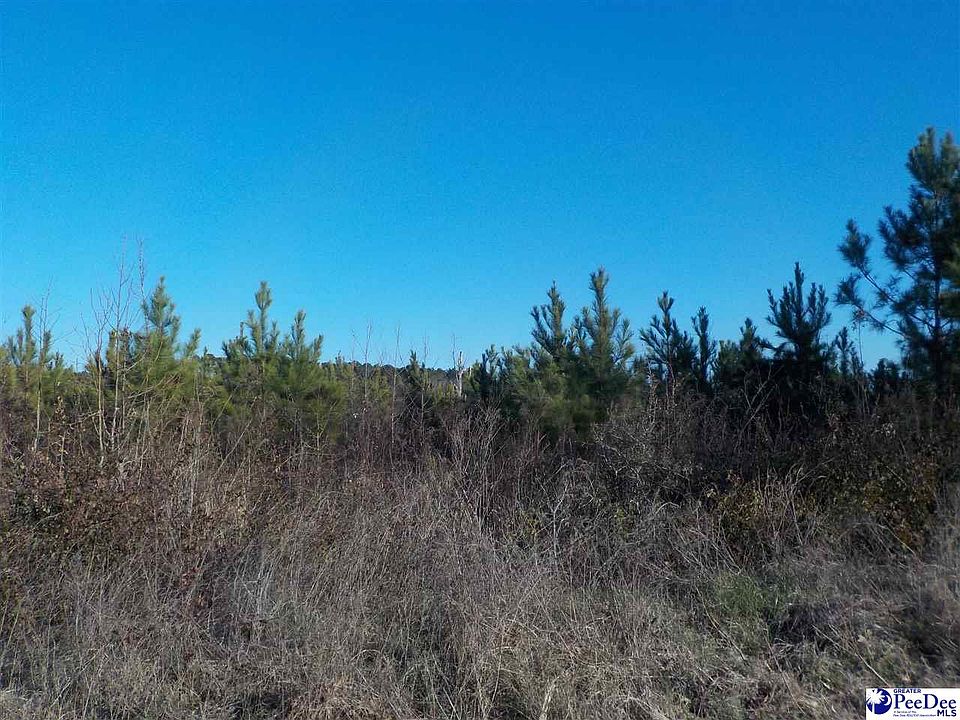 2nd image of Ottis Parrish Rd