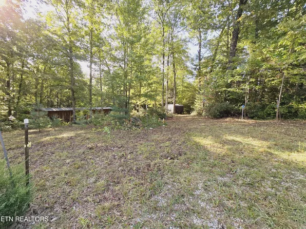 Bear Hollow Rd, Oneida, TN 37841