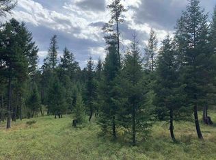 81 Scholar Ln, Whitefish, MT 59937