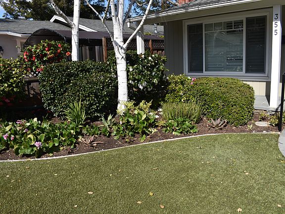 4th image of 355 San Carlos Ave